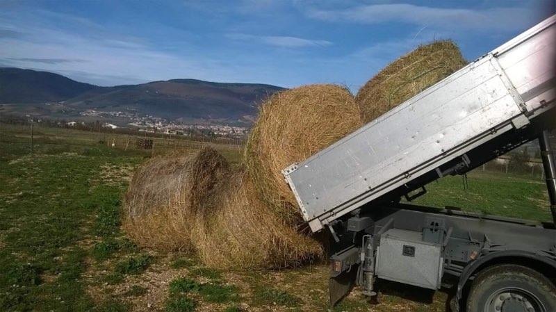 MISSIONI PER I TERREMOTATI DEL CENTRO ITALIA