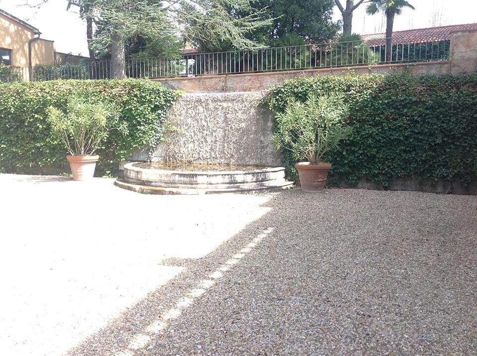 PULIZIA GIARDINI E PIANTE-10
