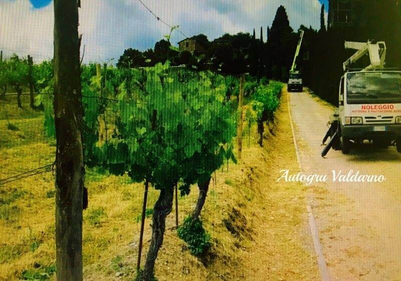 PULIZIA GIARDINI E PIANTE-4