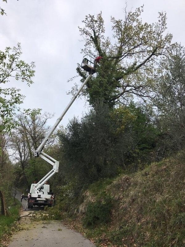PULIZIA GIARDINI E PIANTE-8