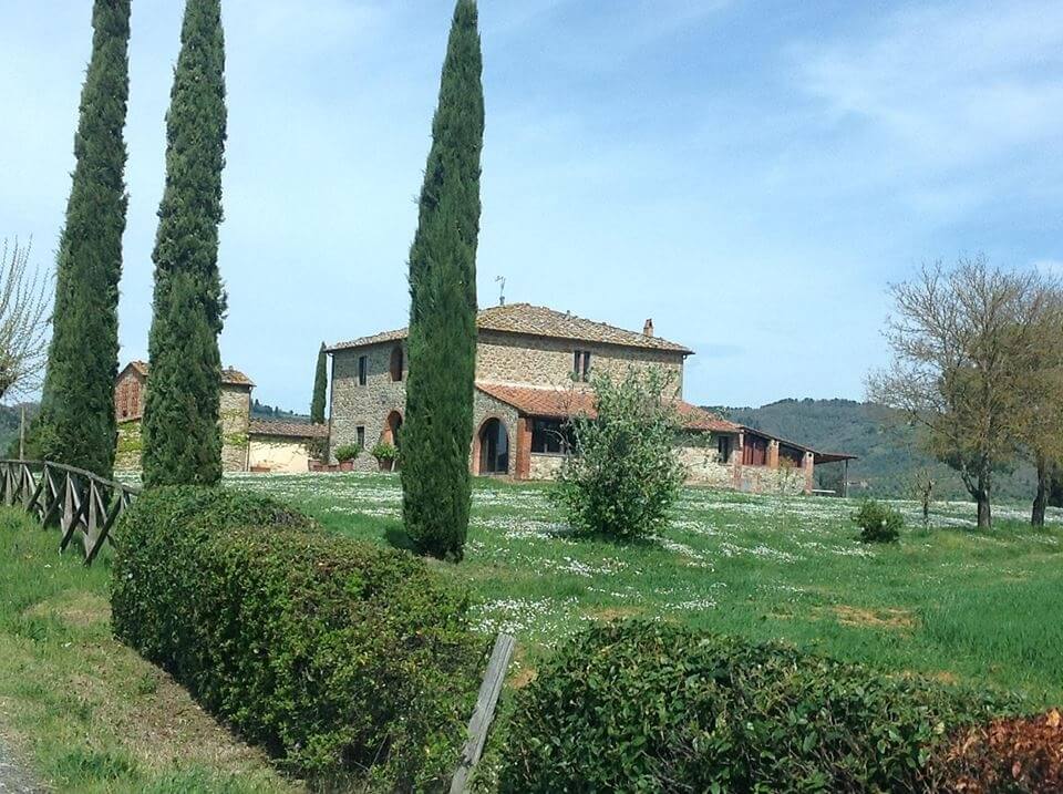PULIZIA GIARDINI E PIANTE-9